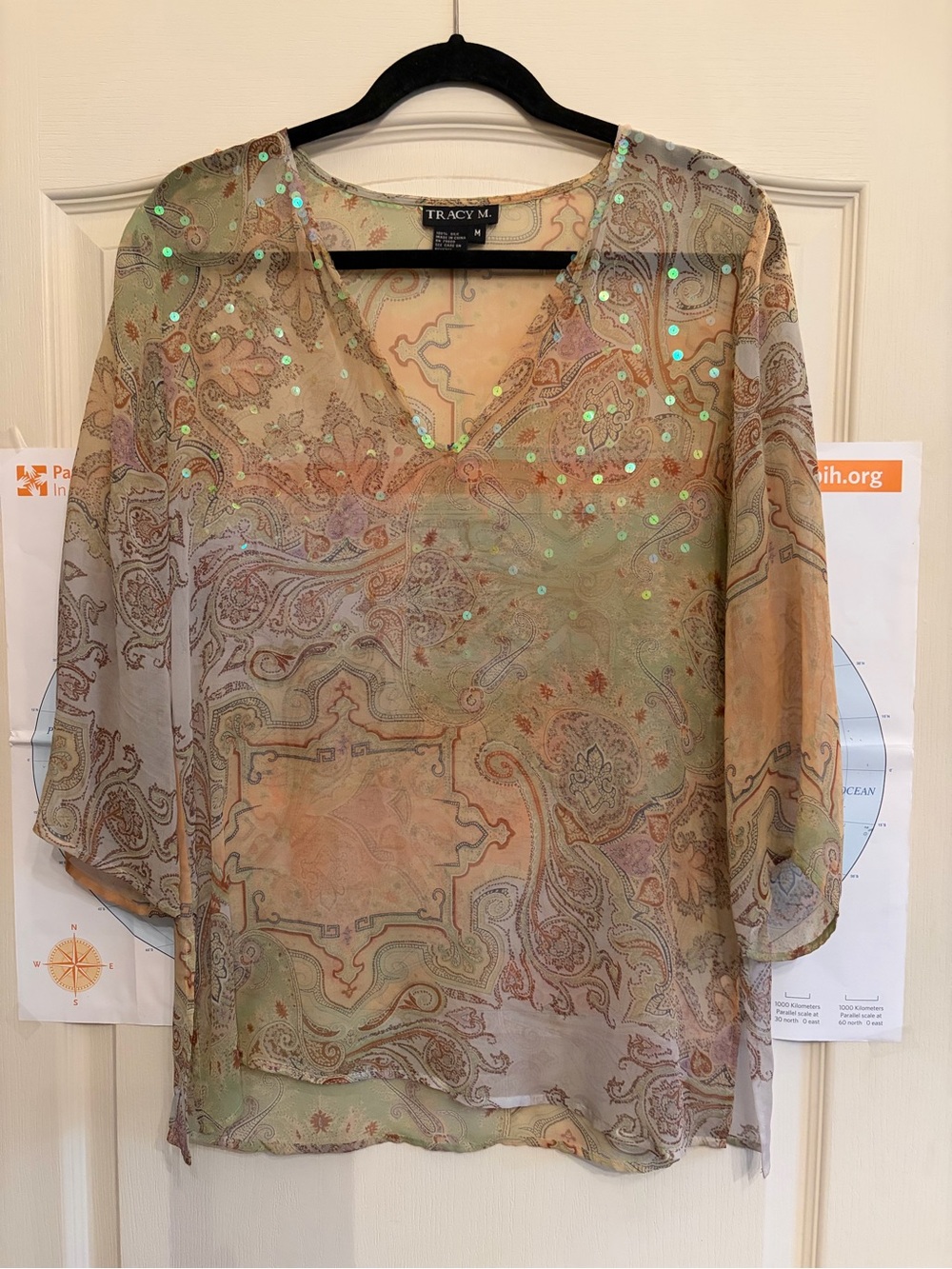 Tracy M Sheer Silk Chiffon Vintage Boho Chic Paisley Olive and Tan with Sequin